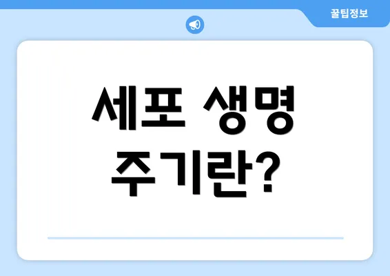 세포 생명 주기란?