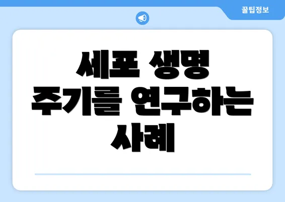 세포 생명 주기를 연구하는 사례