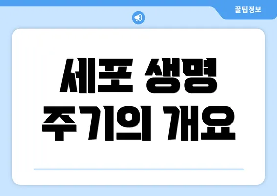 세포 생명 주기의 개요