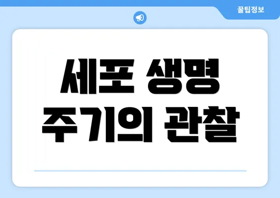 세포 생명 주기의 관찰