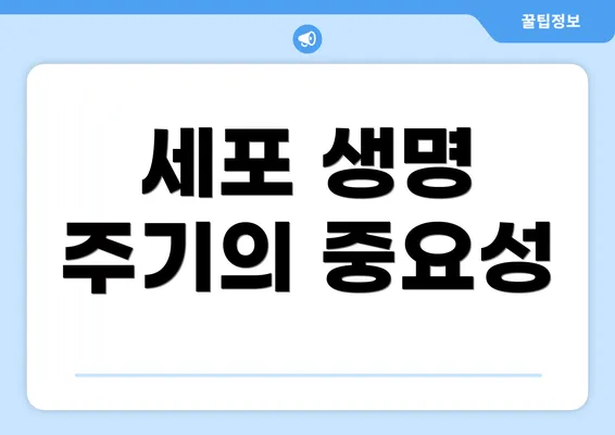 세포 생명 주기의 중요성