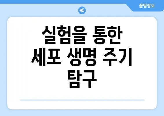 실험을 통한 세포 생명 주기 탐구