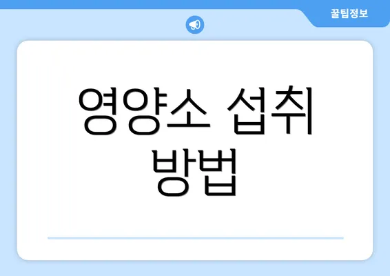 영양소 섭취 방법