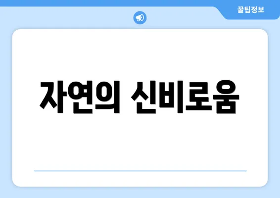 자연의 신비로움