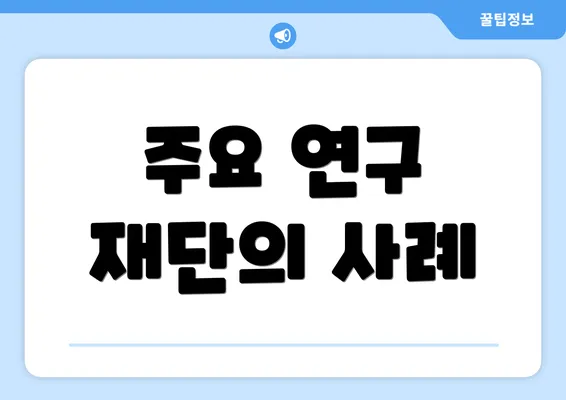주요 연구 재단의 사례
