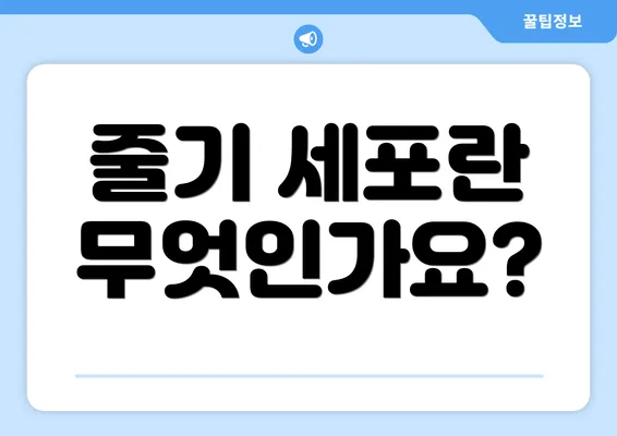 줄기 세포란 무엇인가요?