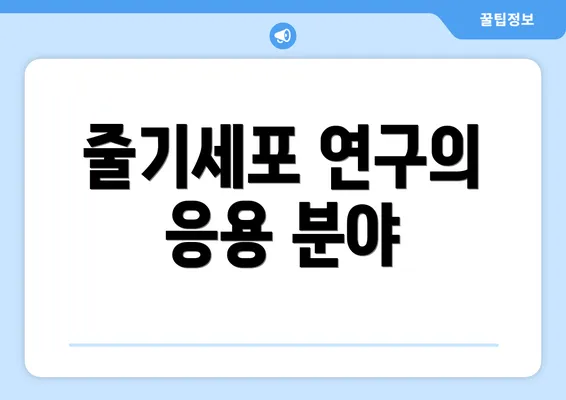 줄기세포 연구의 응용 분야