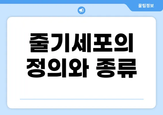 줄기세포의 정의와 종류