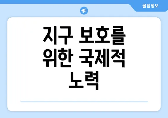 지구 보호를 위한 국제적 노력