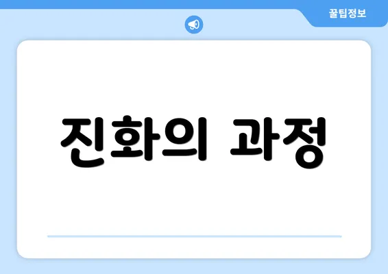 진화의 과정