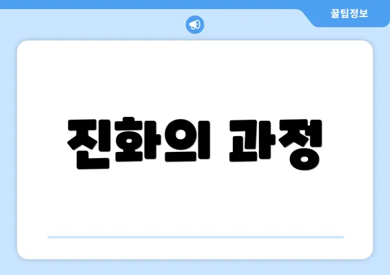 진화의 과정