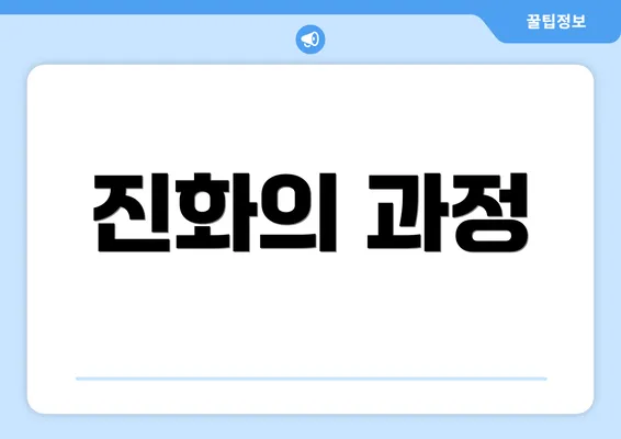 진화의 과정