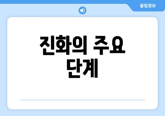 진화의 주요 단계