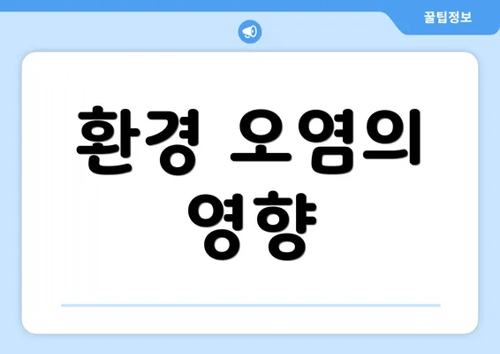 환경 오염의 영향