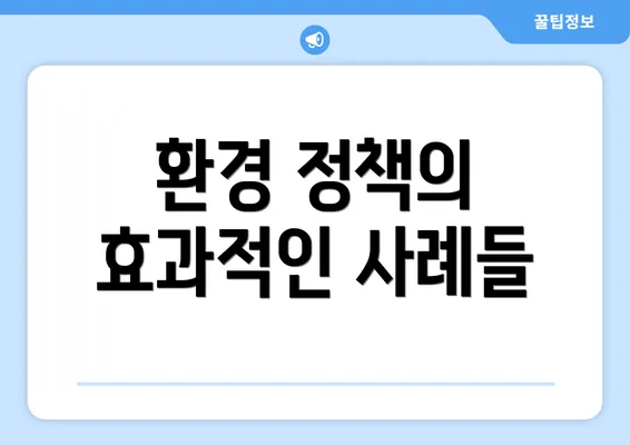 환경 정책의 효과적인 사례들