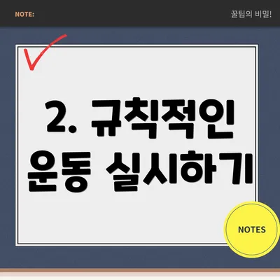 2. 규칙적인 운동 실시하기