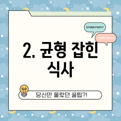 2. 균형 잡힌 식사