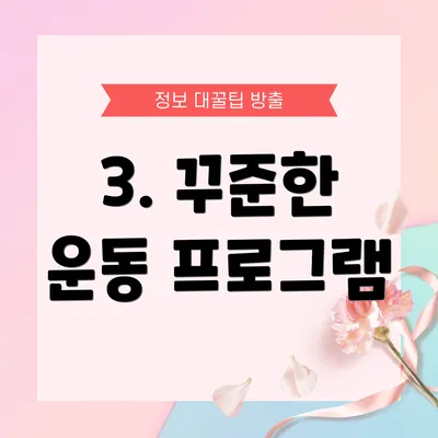 3. 꾸준한 운동 프로그램