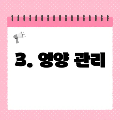 3. 영양 관리