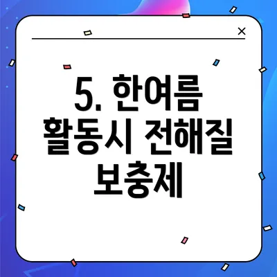 5. 한여름 활동시 전해질 보충제