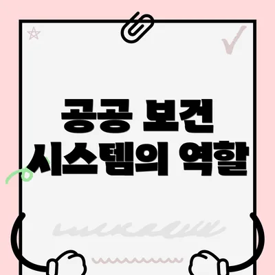 공공 보건 시스템의 역할
