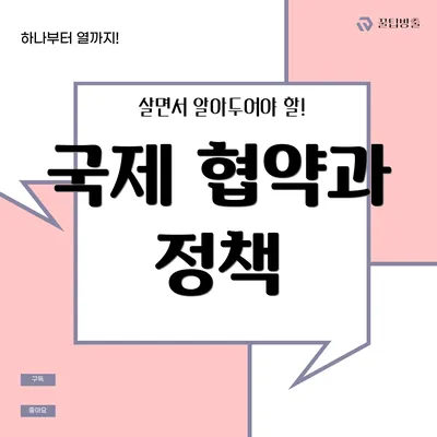 국제 협약과 정책