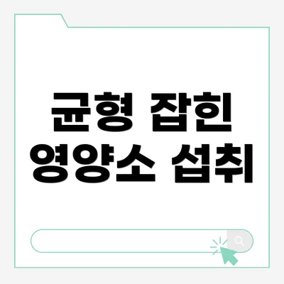 균형 잡힌 영양소 섭취