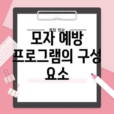 모자 예방 프로그램의 구성 요소