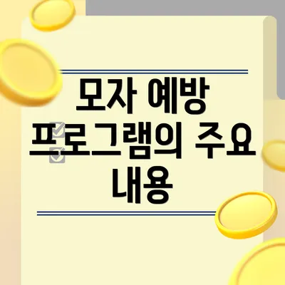 모자 예방 프로그램의 주요 내용
