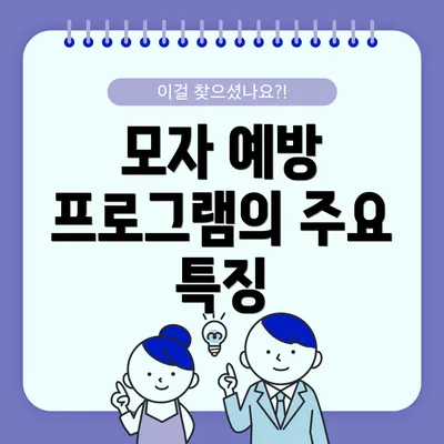모자 예방 프로그램의 주요 특징