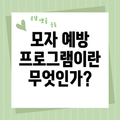 모자 예방 프로그램이란 무엇인가?