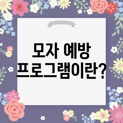 모자 예방 프로그램이란?