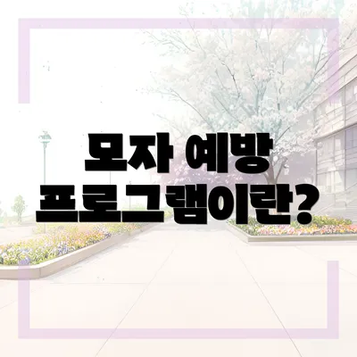 모자 예방 프로그램이란?