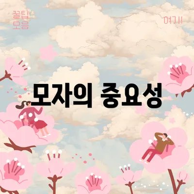 모자의 중요성