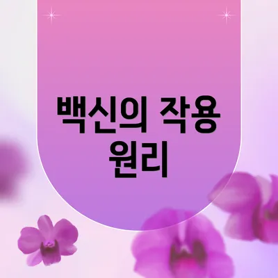 백신의 작용 원리