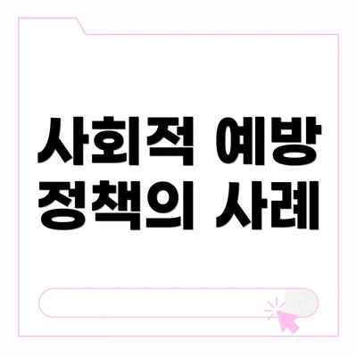 사회적 예방 정책의 사례
