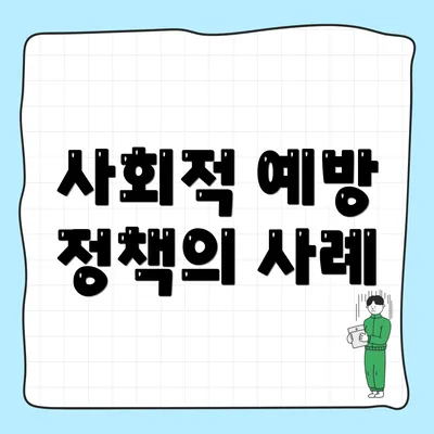 사회적 예방 정책의 사례