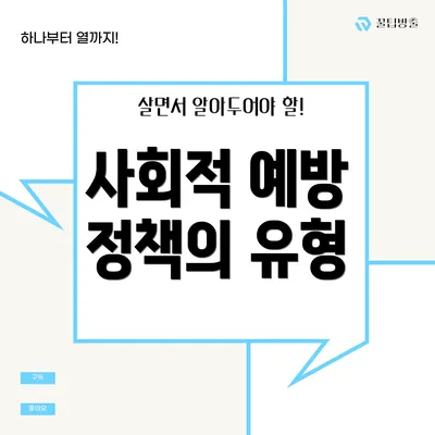 사회적 예방 정책의 유형