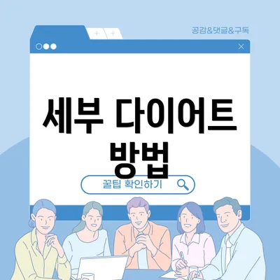 세부 다이어트 방법