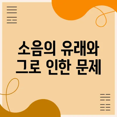 소음의 유래와 그로 인한 문제