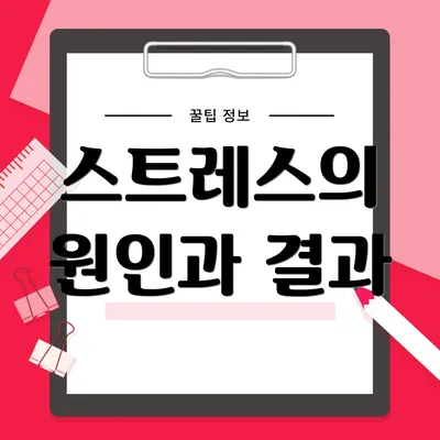 스트레스의 원인과 결과