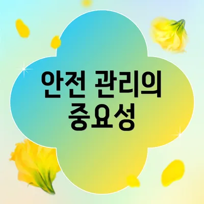 안전 관리의 중요성