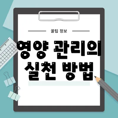 영양 관리의 실천 방법