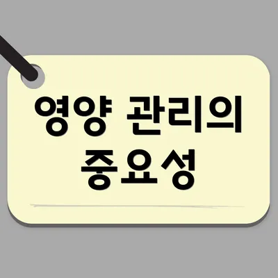 영양 관리의 중요성