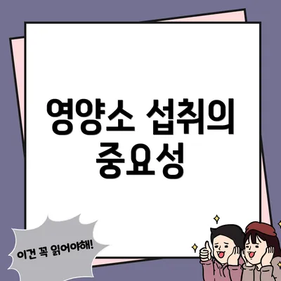 영양소 섭취의 중요성