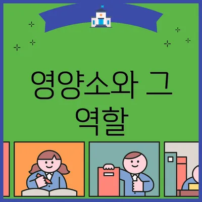 영양소와 그 역할