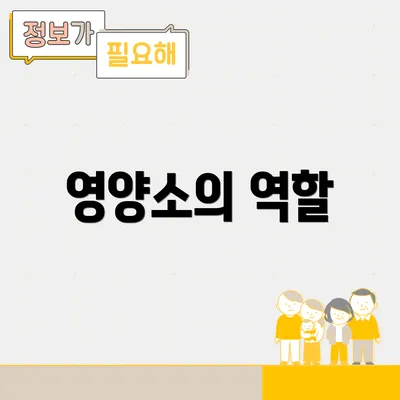 영양소의 역할