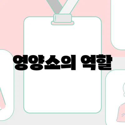 영양소의 역할