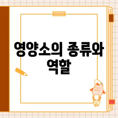 영양소의 종류와 역할