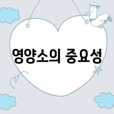 영양소의 중요성